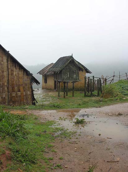 0112_Ambositra_Un  des villages Zafimaniry_garde-manger