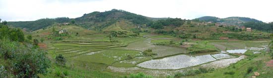 0143_Les Hautes Terres entre Ambositra & Fianarantsoa