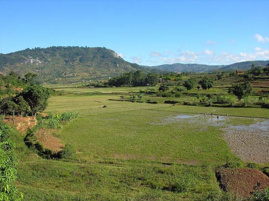 0226 _Retour vers Fianarantsoa par la piste