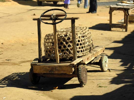 0501_L'Isalo_dans le village de Ranohira_transport de volailles