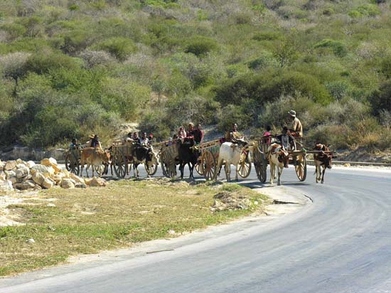 0570_Route vers Tuléar