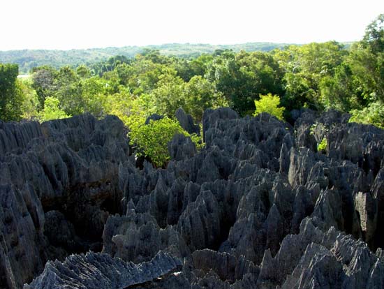 0614_Les petits Tsingy