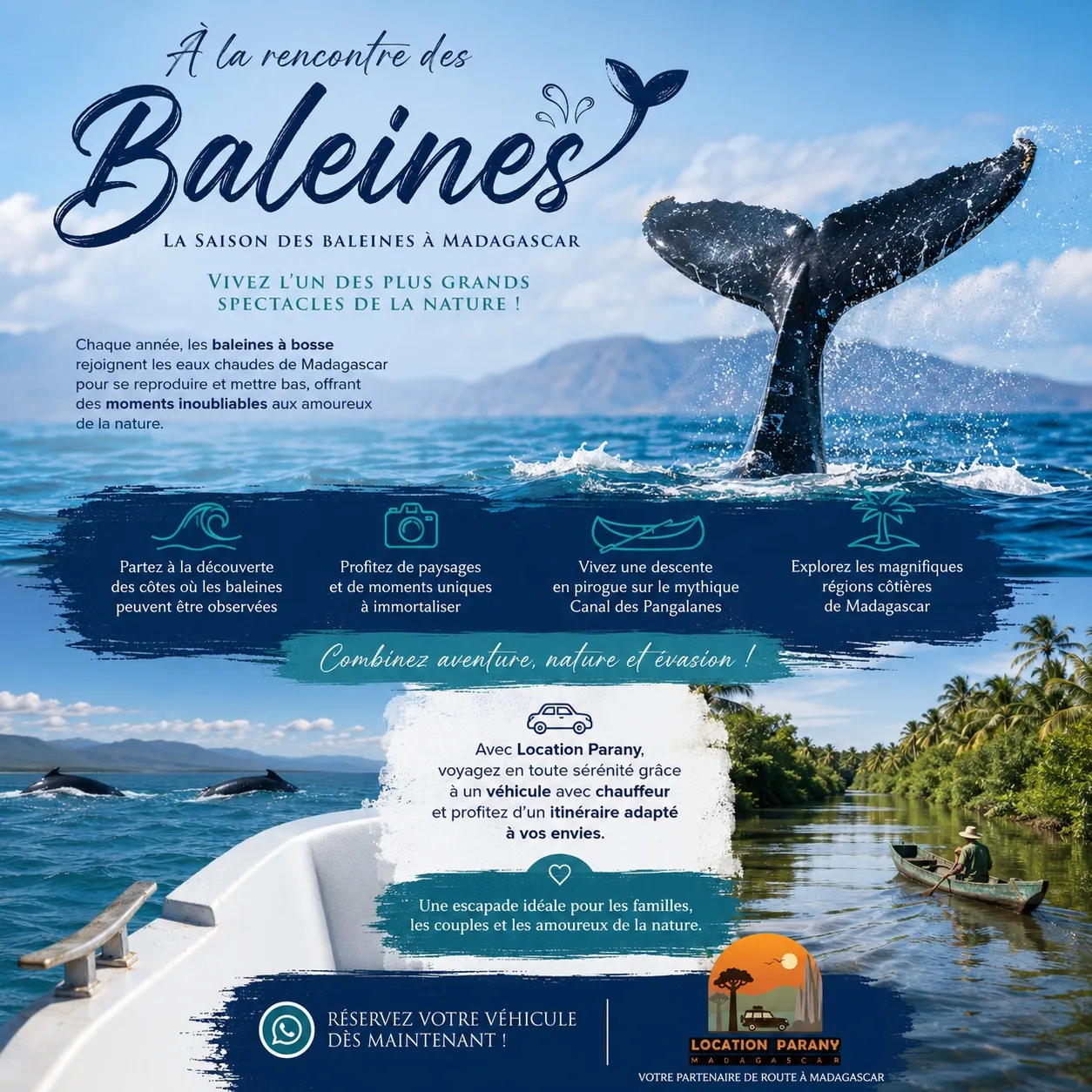 🌊🐋  À la rencontre des baleines