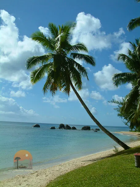 Soleil, plage, découverte ☀️⛱️